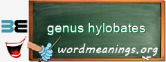 WordMeaning blackboard for genus hylobates